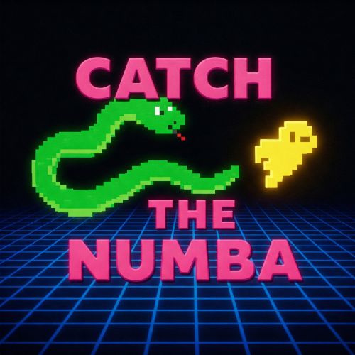 Catch the numba